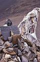 WT 1000 175-32 Nepal